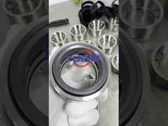 Mekanik Mühür Hi-Görüş Sanitar Pompa Mühür Grund Fos Pompalar Hidrostal Pompalar