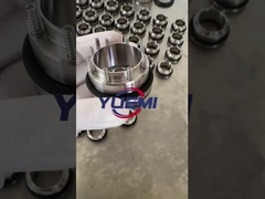 AES MSS Inoxpa Pompa ve Prolac Pompa Su Pompası için Mekanik Mühür Karbon / Sic / Viton