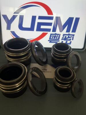 MG13/Z Sıcak su boru hattı santrifüj sirkülasyon pompası mekanik salmastra Glf Tp/Tpd/Lp/Lm, G4 G6 G60