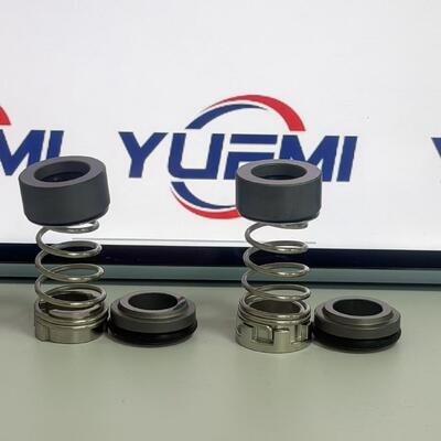 CH 2-20/30 Grundfos Pompası için 12 mm Aqqe Pompa Cr mekanik mühür