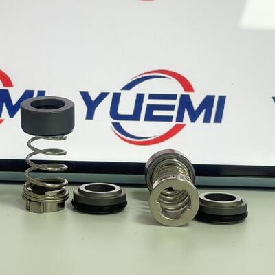 CH 2-20/30 Grundfos Pompası için 12 mm Aqqe Pompa Cr mekanik mühür